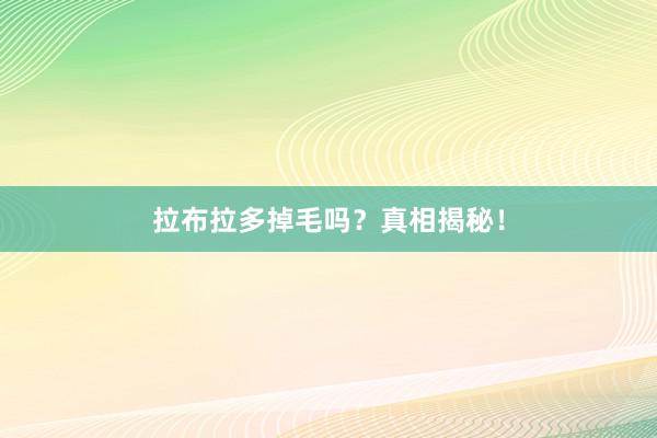 拉布拉多掉毛吗？真相揭秘！
