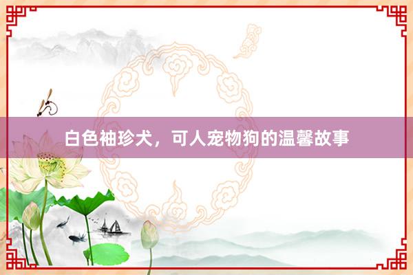 白色袖珍犬，可人宠物狗的温馨故事